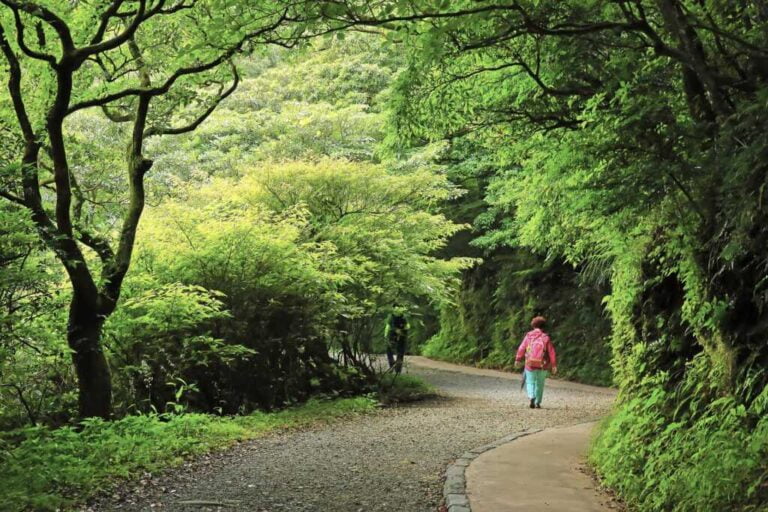 ▲台北大縱走第一段二子坪步道。（台北市工務局大地工程提供）